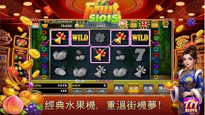 FruitSlots-Casino Slots Game Screenshot 1