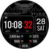 DIGI WatchCraft WS55 Watchface