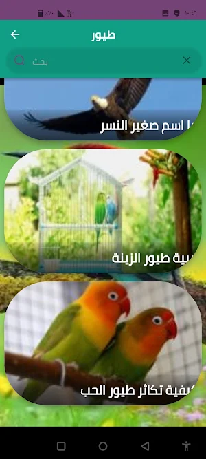 طيور Screenshot 1