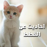 احاديث الرسول عن القطط