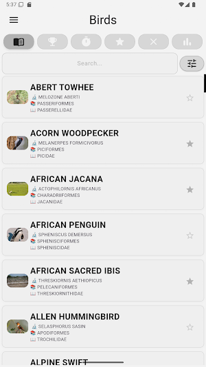 Birds... Screenshot 0