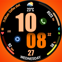WFP 319 Digital Watch Face