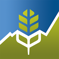 Grain Market