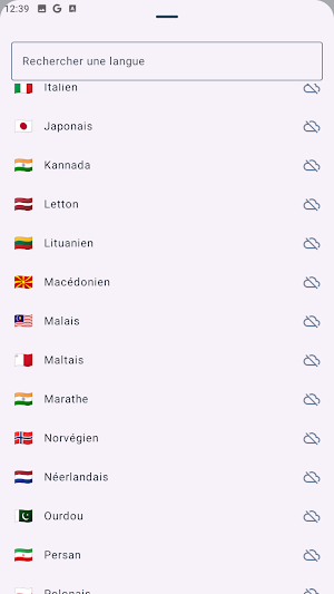 Talk Translate: Voice & Text Screenshot 1