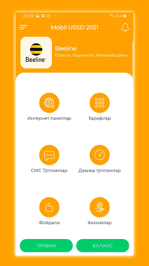 Mobile USSD 2021 Screenshot 2