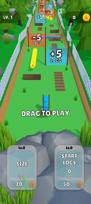 Wooden Bridge Run 3D Screenshot 0