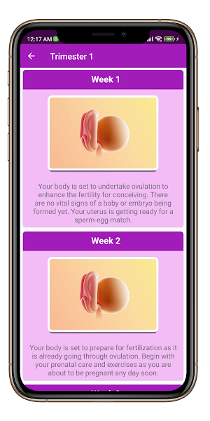 Pregnancy Tracker & Calculator Screenshot 0