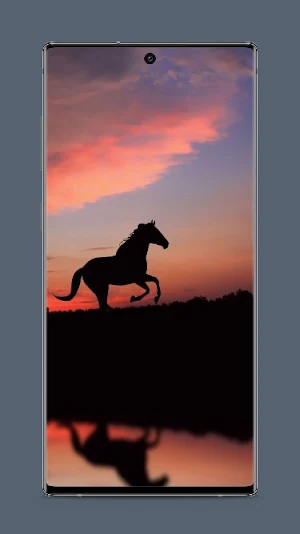 Live horse Wallpaper Screenshot 0