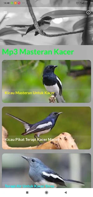 Masteran Kacer Jawara Screenshot 1