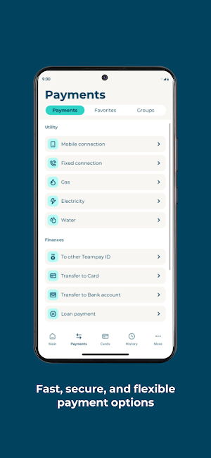 Team Pay Screenshot 1