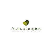 Clube Alphacampus