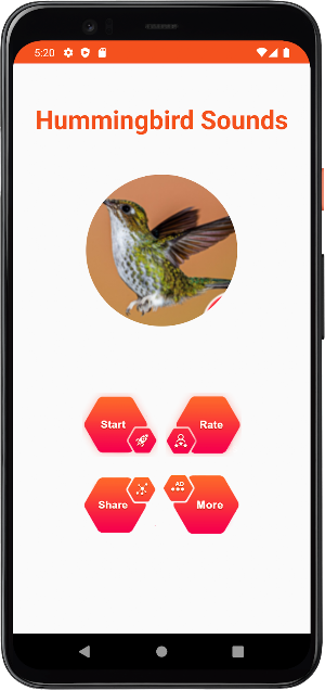 Hummingbird Sound Screenshot 1