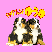 ドッグフレンドゆうゆ