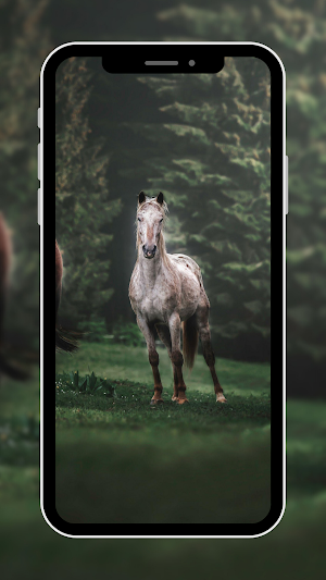 Horse Wallpapers Screenshot 0