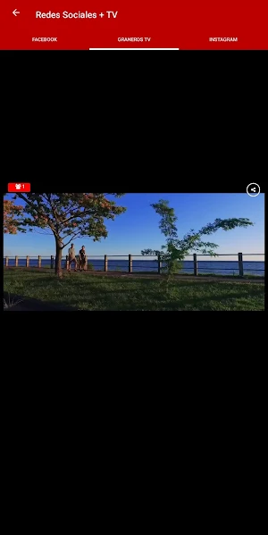 Graneros del Sur 90.3 FM Screenshot 3