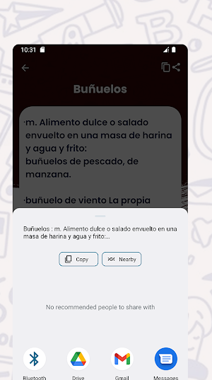 Diccionario Español Screenshot 3