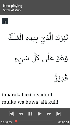 Surat Pilihan Quran + Terjemah Screenshot 3