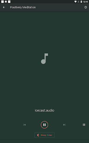 Relaxing Radios Live Screenshot 2