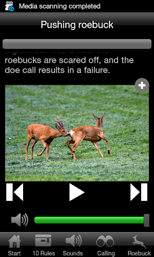 Roebuck Hunt Screenshot 2