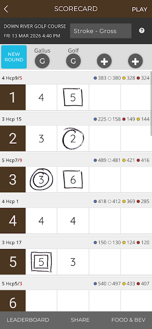 Down River Golf Course Screenshot 1