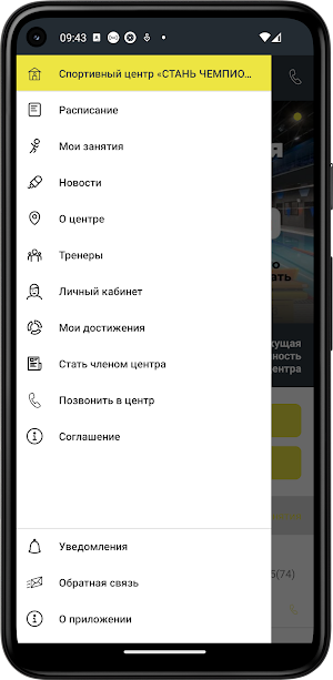 Стань Чемпионом Screenshot 2