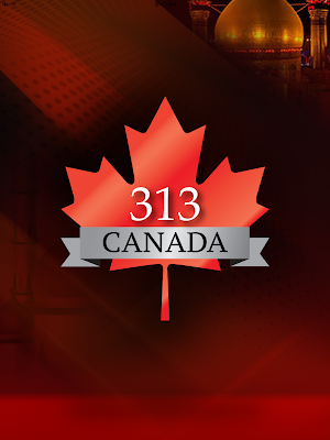 313 Canada Screenshot 3