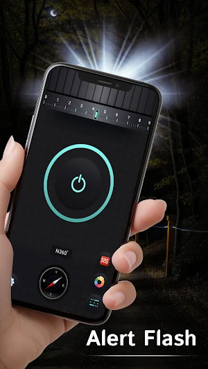 Flashlight Pro - Flash Flicker Screenshot 2