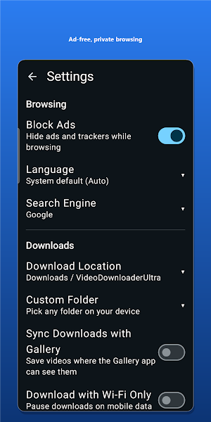 Video Downloader LBCX Screenshot 3