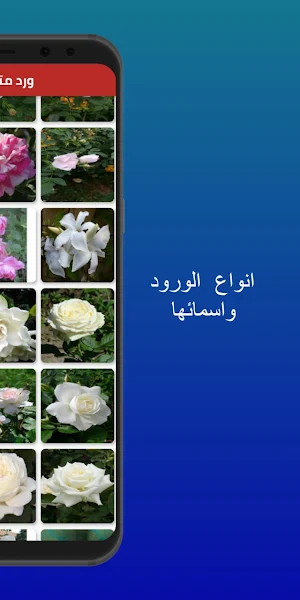 انواع الورود واسمائها Screenshot 1