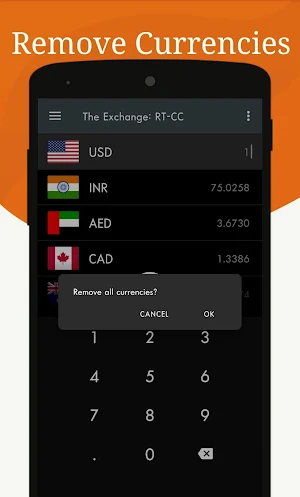 The Exchange : Real Time Live - Currency Converter Screenshot 3