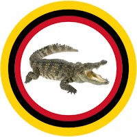 Sarawak Croc Watch