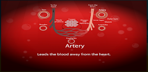 Circulatory and Lymphatic Systems Screenshot 1