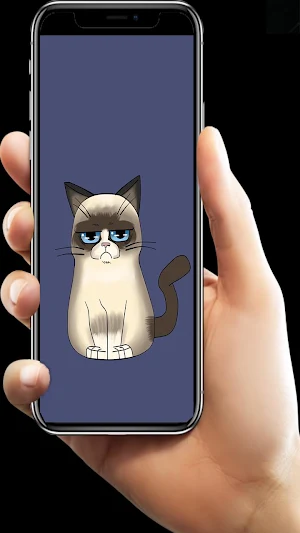 Grumpy Cat Lock Screen Screenshot 2