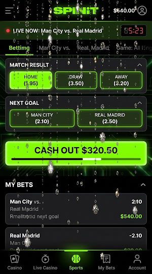 Spinit Casino Screenshot 3