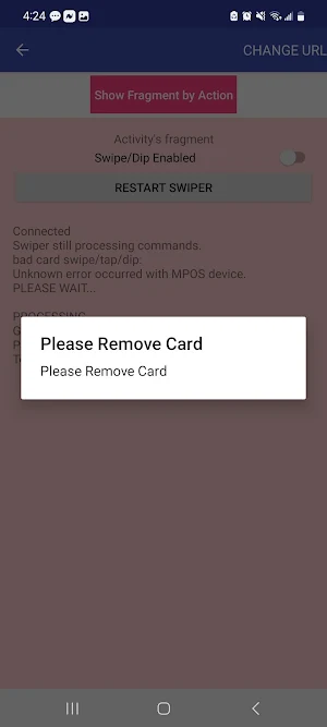 Consumer Terminal Checkout Screenshot 2