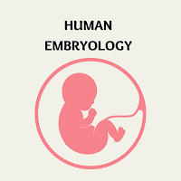 Human Embryology