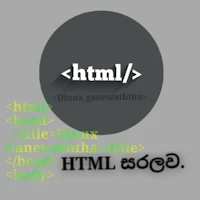 Html Saralava