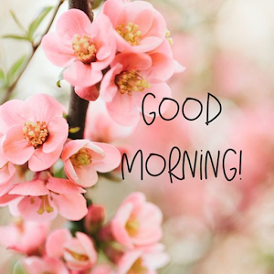 Good Morning Flowers Images Screenshot 1