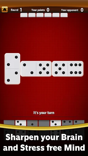 Domino game - Dominoes offline Screenshot 0