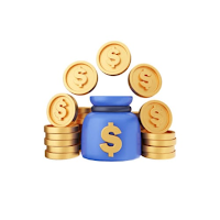 Daily Cash