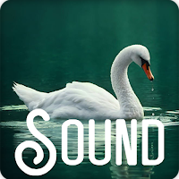 Swan Soundboard Ringtones