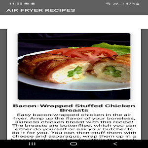 Air Fryer Recipes Screenshot 0