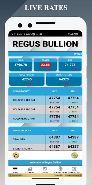 Regus Bullion Screenshot 0
