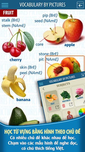 English Study PROMAX Screenshot 3
