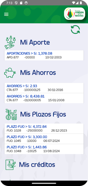 APP Virgen de las Nieves Screenshot 2