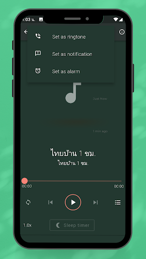 เพลงลูกทุ่งฮิตฟังเพราะ Screenshot 0