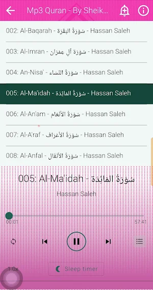 Hassan Saleh Quran Offline Screenshot 2