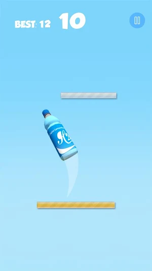 Water Bottle Flip 3D Challenge Screenshot 1