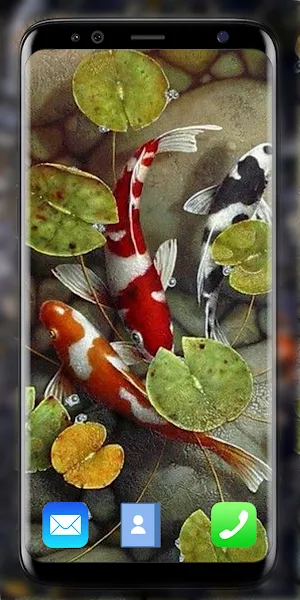 Koi Fish Live Wallpaper 3D Screenshot 3