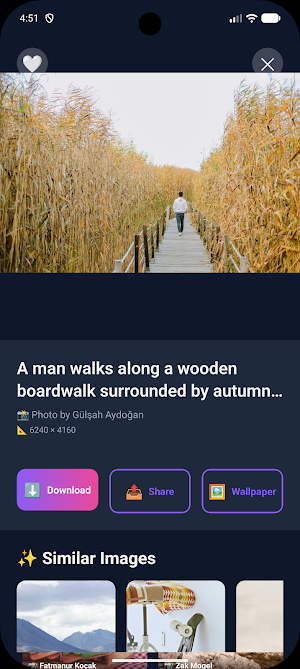 DreamSnapAI - Image and Video Screenshot 2